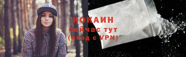 гидра Киреевск