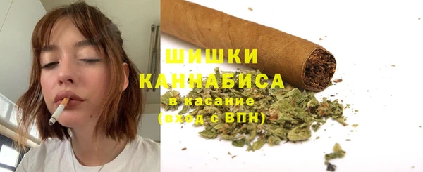 гидра Киреевск