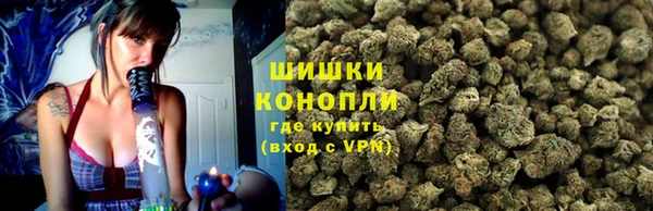 гидра Киреевск
