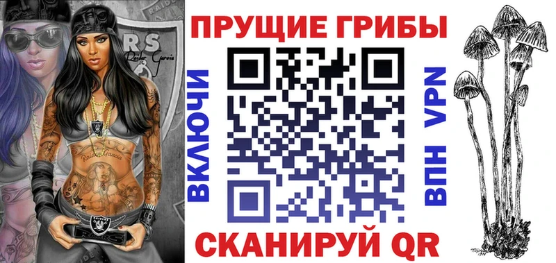 Купить где Балей Псилоцибиновые грибы Psilocybe